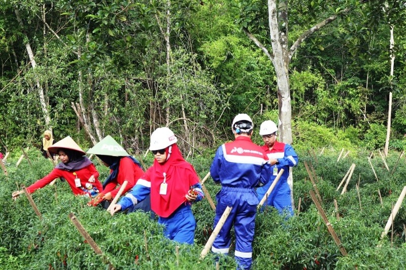 Pertasamtan Encourages Ecological Tourism in Pangkul Village